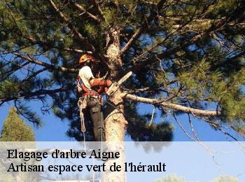 Elagage d'arbre  aigne-34210 Artisan espace vert de l'hérault 