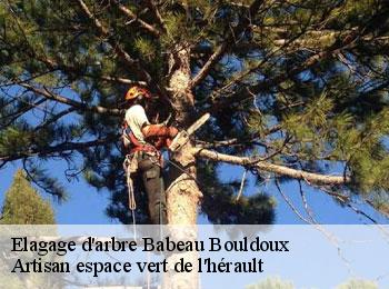 Elagage d'arbre  babeau-bouldoux-34360 Artisan espace vert de l'hérault 