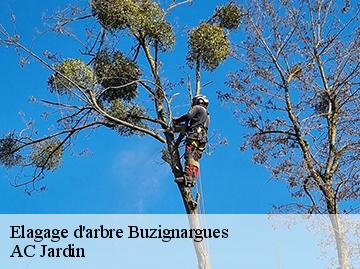 Elagage d'arbre  buzignargues-34160 AC Jardin