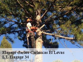 Elagage d'arbre  carlencas-et-levas-34600 L.L Elagage 34 