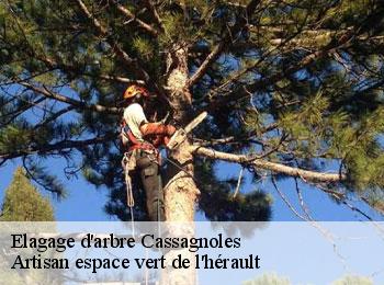 Elagage d'arbre  cassagnoles-34210 Artisan espace vert de l'hérault 