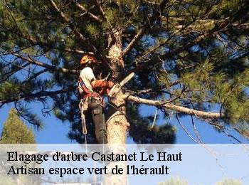 Elagage d'arbre  castanet-le-haut-34610 Artisan espace vert de l'hérault 