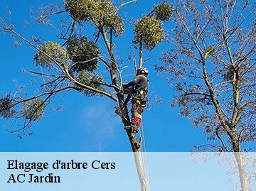 Elagage d'arbre  cers-34420 AC Jardin