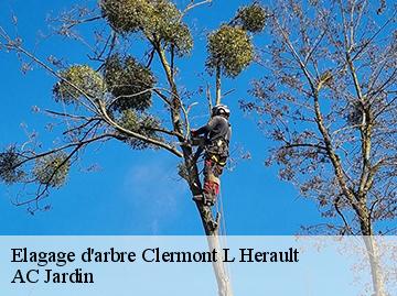 Elagage d'arbre  clermont-l-herault-34800 AC Jardin