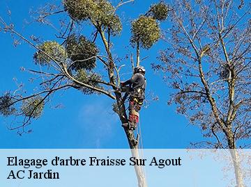 Elagage d'arbre  fraisse-sur-agout-34330 AC Jardin