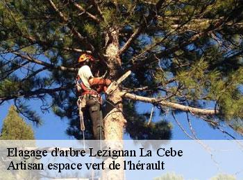 Elagage d'arbre  lezignan-la-cebe-34120 Artisan espace vert de l'hérault 