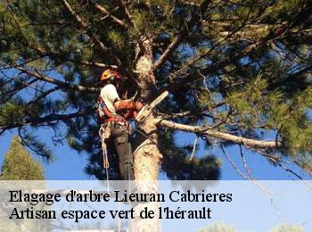 Elagage d'arbre  lieuran-cabrieres-34800 Artisan espace vert de l'hérault 