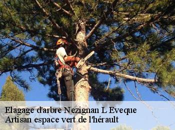 Elagage d'arbre  nezignan-l-eveque-34120 Artisan espace vert de l'hérault 