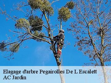 Elagage d'arbre  pegairolles-de-l-escalett-34700 AC Jardin