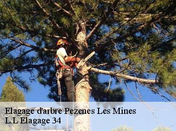 Elagage d'arbre  pezenes-les-mines-34600 L.L Elagage 34 