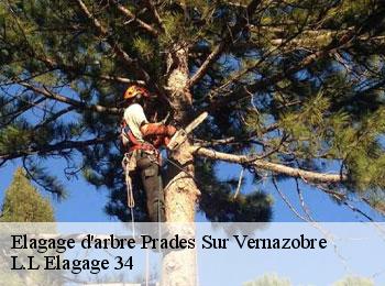 Elagage d'arbre  prades-sur-vernazobre-34360 L.L Elagage 34 