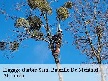 Elagage d'arbre  saint-bauzille-de-montmel-34160 AC Jardin