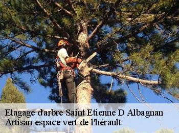 Elagage d'arbre  saint-etienne-d-albagnan-34390 Artisan espace vert de l'hérault 