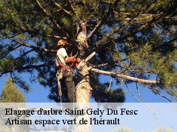 Elagage d'arbre  saint-gely-du-fesc-34980 Artisan espace vert de l'hérault 