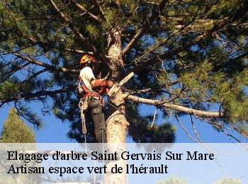 Elagage d'arbre  saint-gervais-sur-mare-34610 Artisan espace vert de l'hérault 