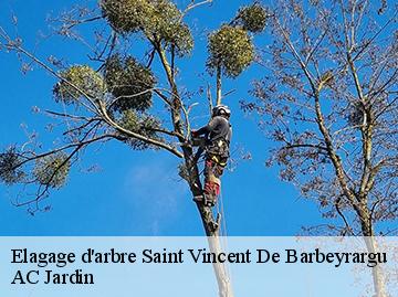 Elagage d'arbre  saint-vincent-de-barbeyrargu-34730 AC Jardin