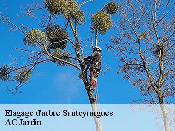 Elagage d'arbre  sauteyrargues-34270 AC Jardin