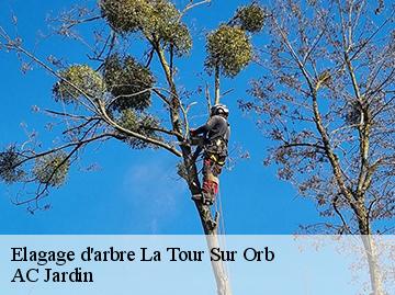 Elagage d'arbre  la-tour-sur-orb-34260 AC Jardin