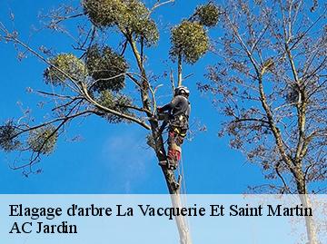 Elagage d'arbre  la-vacquerie-et-saint-martin-34520 AC Jardin