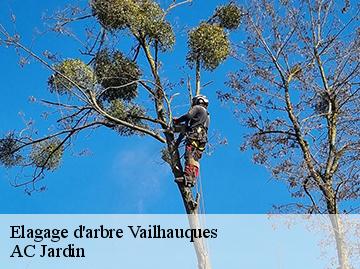 Elagage d'arbre  vailhauques-34570 AC Jardin