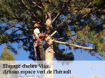 Elagage d'arbre  vias-34450 Artisan espace vert de l'hérault 