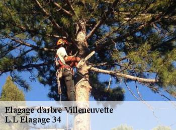 Elagage d'arbre  villeneuvette-34800 L.L Elagage 34 