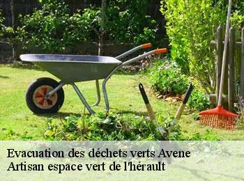 Evacuation des déchets verts  avene-34260 Artisan espace vert de l'hérault 