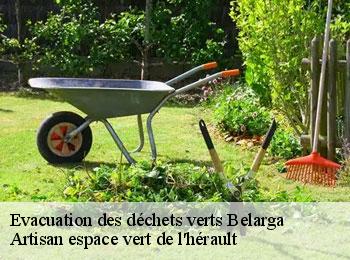 Evacuation des déchets verts  belarga-34230 Artisan espace vert de l'hérault 