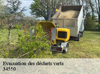 Evacuation des déchets verts  34550