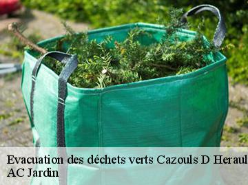 Evacuation des déchets verts  cazouls-d-herault-34120 AC Jardin