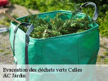 Evacuation des déchets verts  celles-34800 AC Jardin