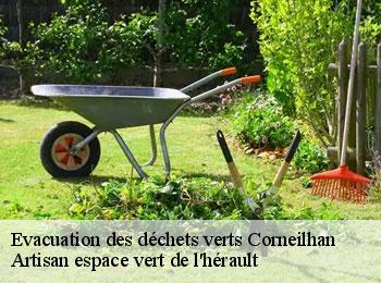 Evacuation des déchets verts  corneilhan-34490 Artisan espace vert de l'hérault 