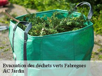 Evacuation des déchets verts  fabregues-34690 AC Jardin