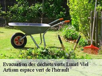 Evacuation des déchets verts  lunel-viel-34400 Artisan espace vert de l'hérault 