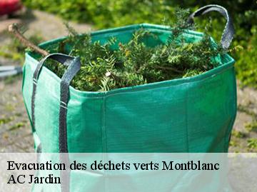 Evacuation des déchets verts  montblanc-34290 AC Jardin