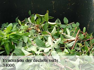 Evacuation des déchets verts  34000