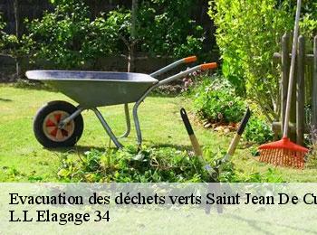 Evacuation des déchets verts  saint-jean-de-cuculles-34270 L.L Elagage 34 