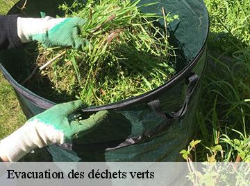 Evacuation des déchets verts