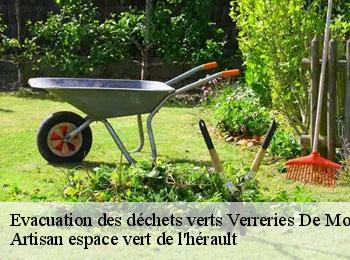 Evacuation des déchets verts  verreries-de-moussans-34220 Artisan espace vert de l'hérault 