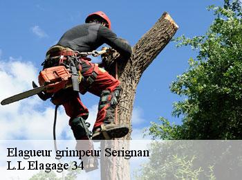 Elagueur grimpeur  serignan-34410 L.L Elagage 34 