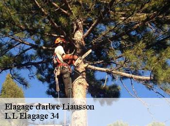 Elagage d'arbre  liausson-34800 L.L Elagage 34 